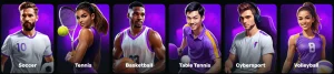 wino casino sports